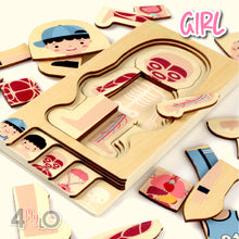 Load image into Gallery viewer, Montessori Method - Human Body Structure (Girl)