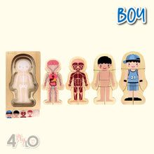 Load image into Gallery viewer, Montessori Method - Human Body Structure (Boy)