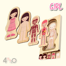 Load image into Gallery viewer, Montessori Method - Human Body Structure (Girl)