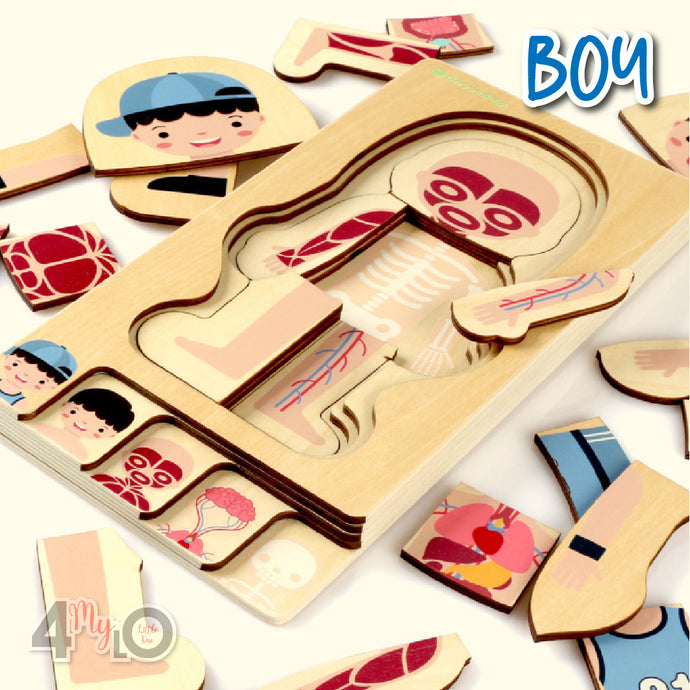 Montessori Method - Human Body Structure (Boy)
